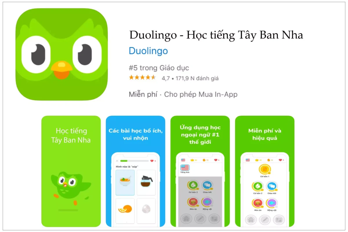App học tiếng TBN Duolingo